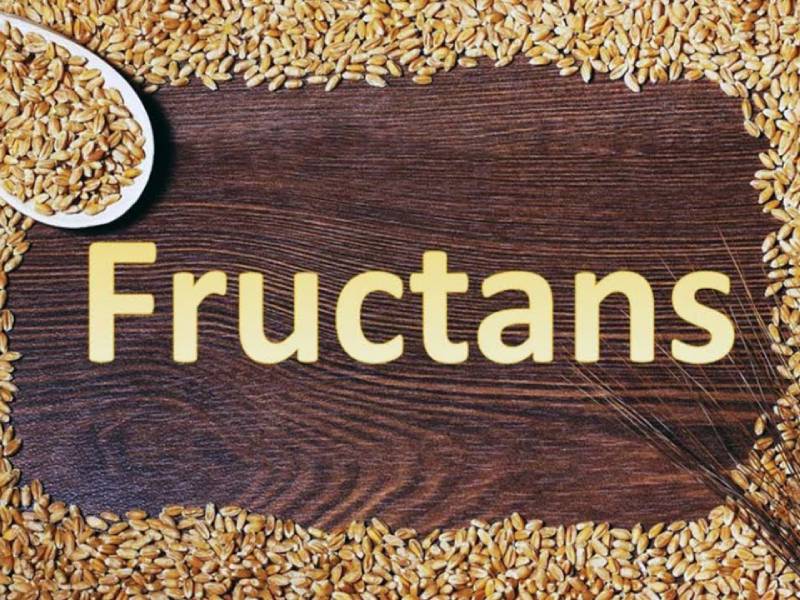 Fructan intolerance